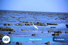 Narara Island