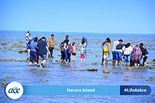 Narara Island