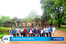 Polo Forest Picnic