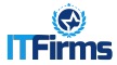 Interview with CEO & Director of Ace Infoway, Amit Mehta by ITFirms